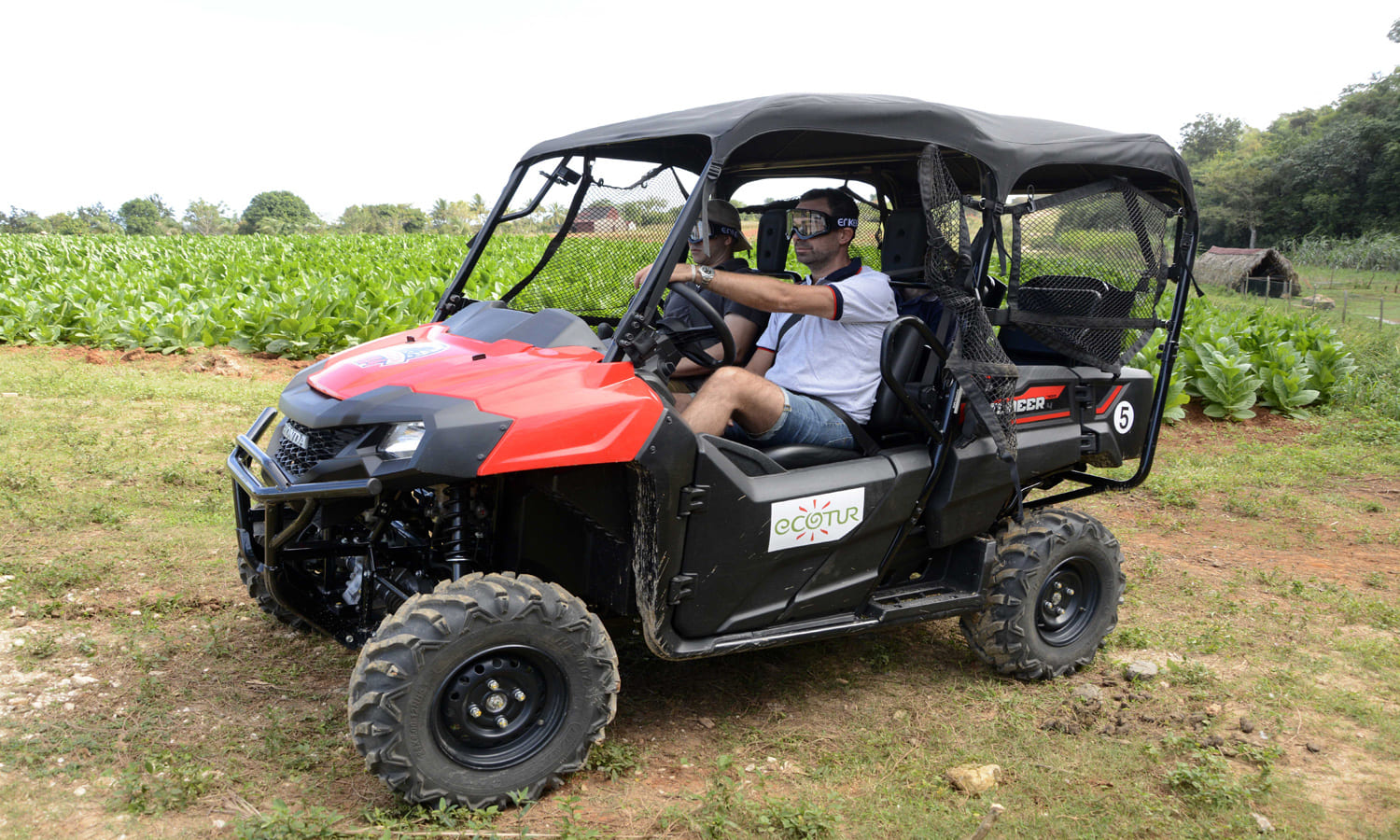 Tourist in a buggy in Viñales